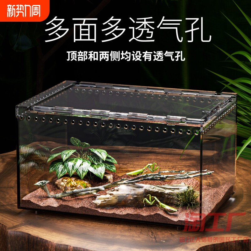 树栖箱全景爬虫缸蜥蜴睫角守宫独角仙蜘蛛蛇蜗牛巴西龟甲虫饲养盒