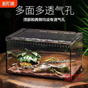 树栖箱全景爬虫缸蜥蜴睫角守宫独角仙蜘蛛蛇蜗牛巴西龟甲虫饲养盒