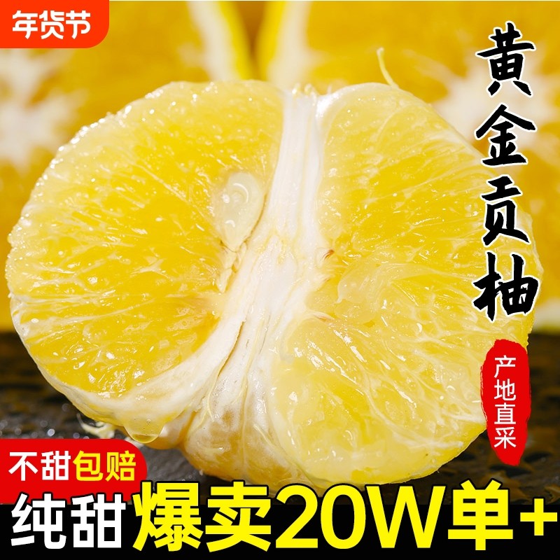 一级怀化洪江黄金贡柚春香桔柚象山青新鲜甜柚湖南雪峰山10斤大果