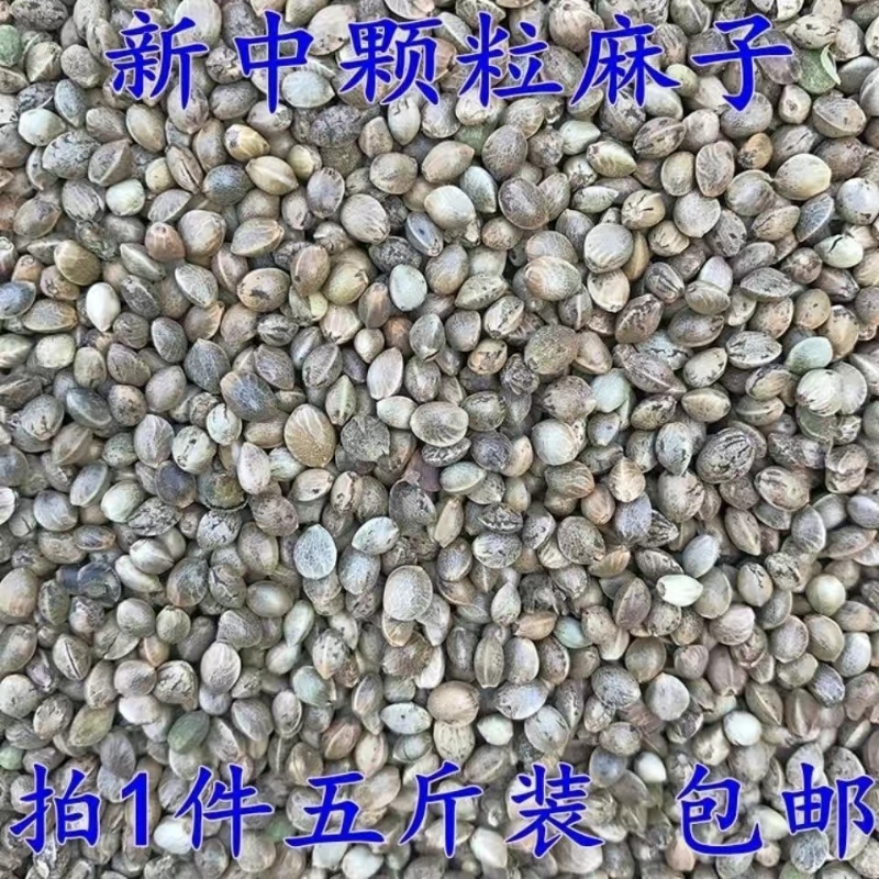 {卖点}