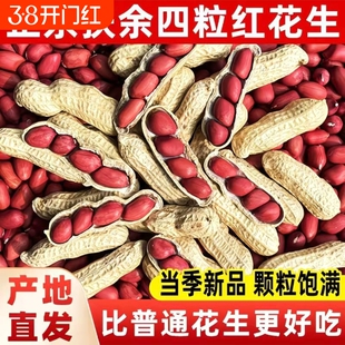东北四粒红花生果生红花生红衣养胃农家当年新货散装带壳花生米