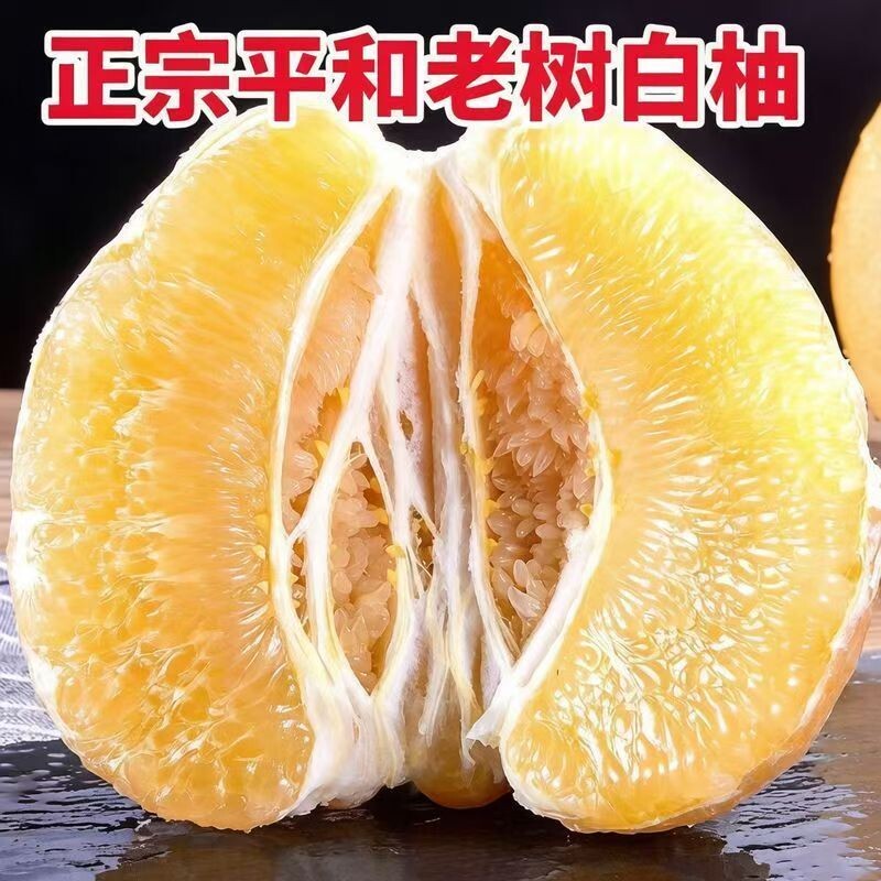 5~6斤！正宗福建.平和琯溪白心蜜柚