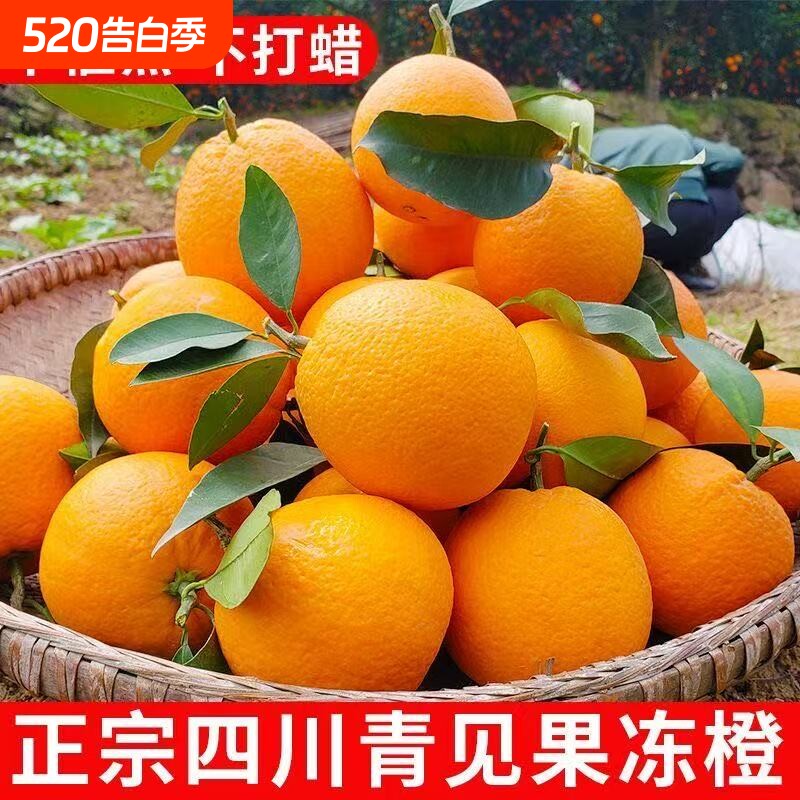 正宗四川青见38号果冻橙9斤大果橙子新鲜当季爱媛水果柑橘蜜桔子5