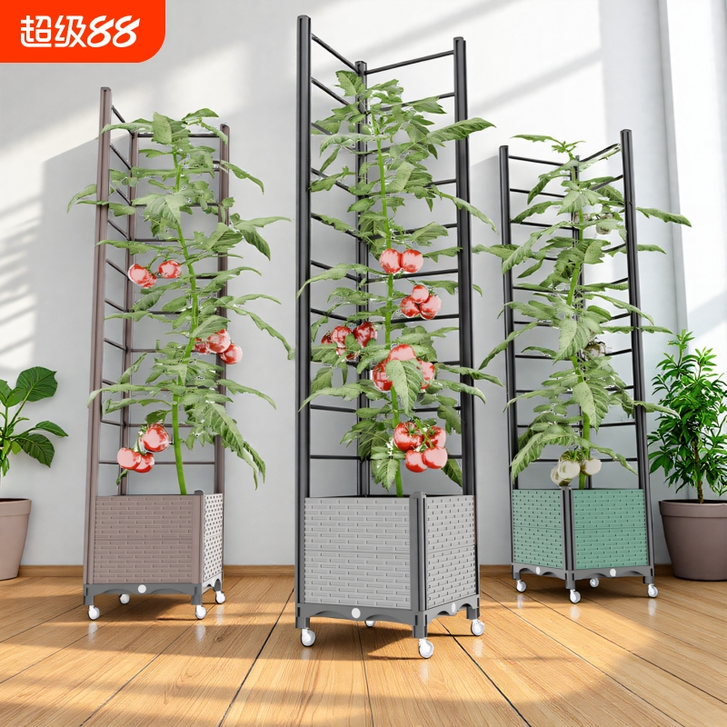 蔬菜爬藤架蔬菜花架葡萄