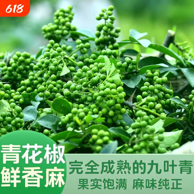 九叶青新鲜花椒重庆江津特产350g保鲜生麻椒粒鲜青藤椒鲜花椒食用
