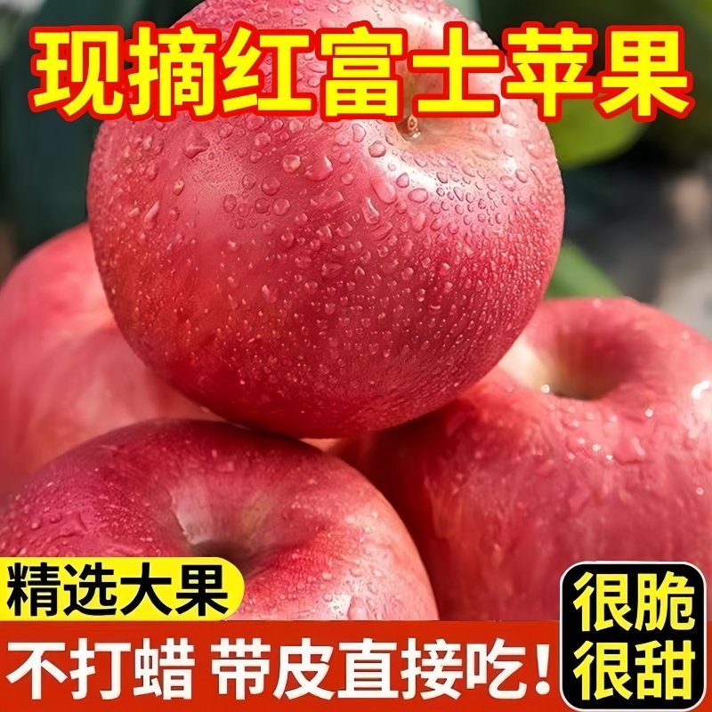 正宗红富士苹果清甜多汁营养丰富新鲜水果现摘现发新鲜直达大果,水产肉类/新鲜蔬果/熟食,苹果,淘宝优惠券,粉丝福利购,淘宝优惠卷