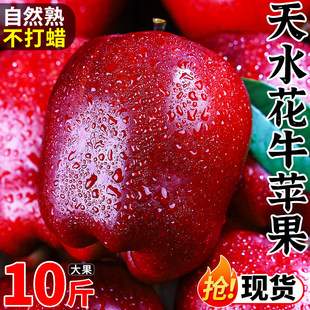 甘肃天水花牛苹果新鲜水果应季冰糖心红蛇果粉面丑苹果整箱10斤装