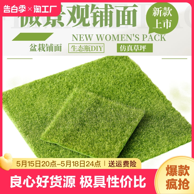 微景观盆景盆栽铺面小白发藓仿真草坪垫青苔植物假苔藓装饰花艺