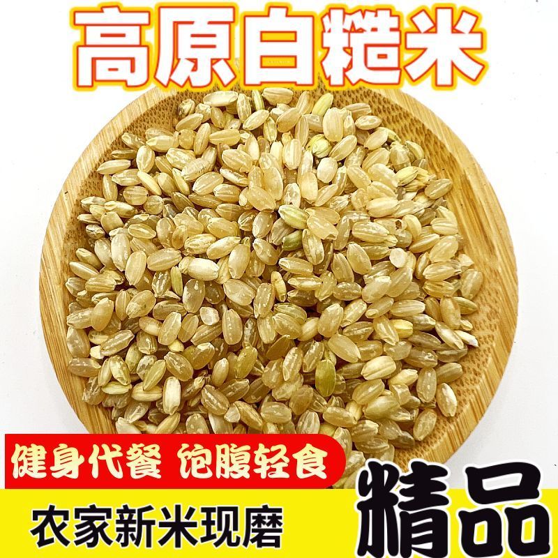 糙米糙大米新米玄米胚芽米轻食主食杂粮米早餐粥粗粮饱腹健身有机