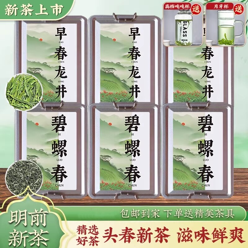 2026新茶明前绿茶茶叶豆香龙井茶碧螺春绿茶组合豆香馥郁送茶杯
