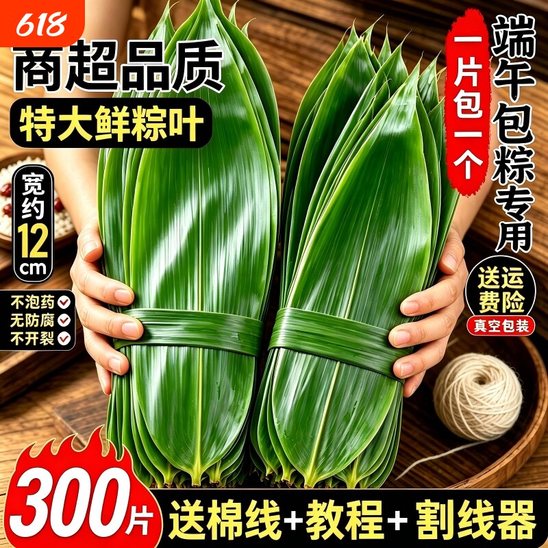粽子叶粽叶新鲜大号新叶端午节包粽子专用现摘商用批发官方旗舰店