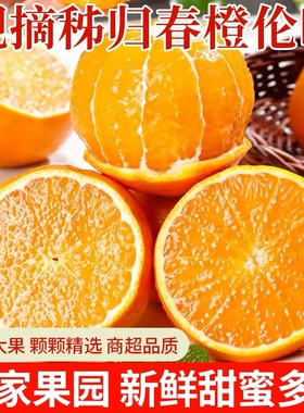 橙子伦晚脐橙湖北秭归新鲜大果甜春橙榨汁手剥橙整箱当季水果现摘