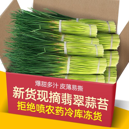 新货每天现拔河南新鲜翡翠蒜苔应当季蔬菜红帽蒜苔薹蒜青蒜苗 - 封面