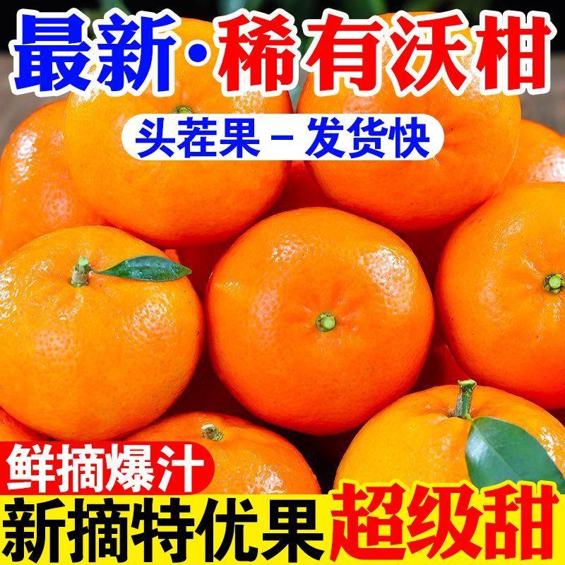 【精品】云南高山沃柑正宗薄皮桔子新鲜水果橘子当季整箱批发包邮,水产肉类/新鲜蔬果/熟食,桔子,淘宝优惠券,粉丝福利购,淘宝优惠卷