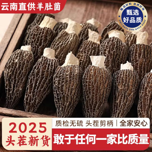 云南干货羊肚菌非特级鲜羊肚菌菇香菇干货非野生农家菌菇煲汤食材