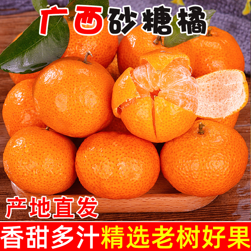 现摘广西砂糖橘新鲜沙糖桔新鲜当季水果薄皮柑橘京东快递