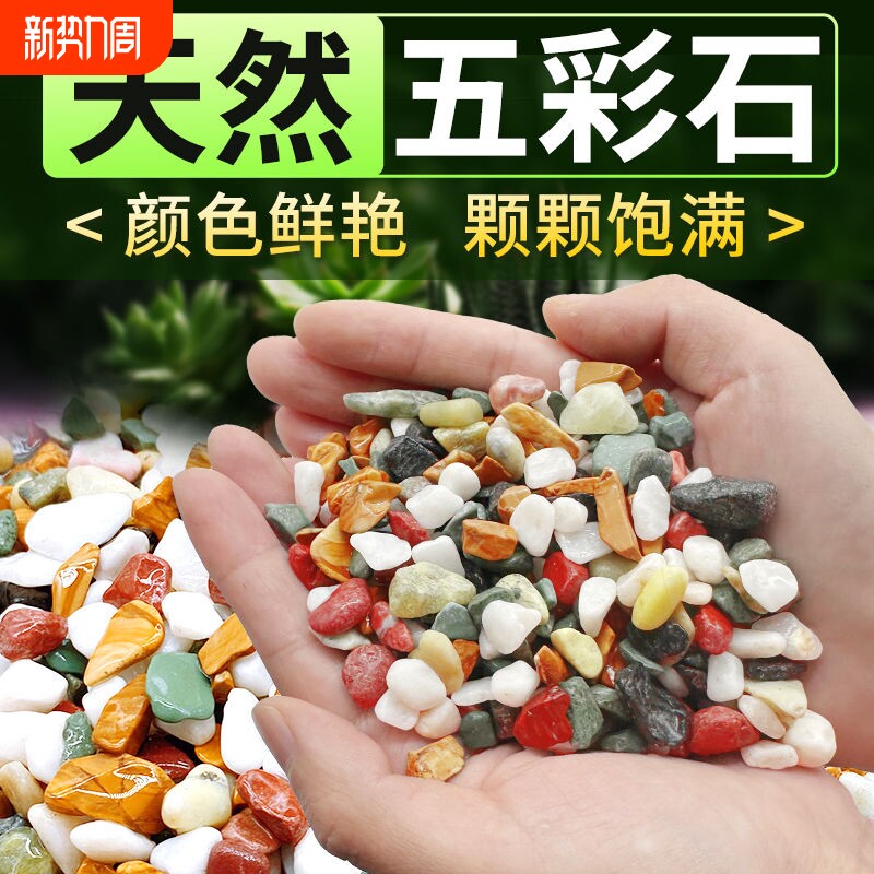 天然五彩雨花石多肉铺面盆栽水培植物铺底鱼缸底砂造景装饰石头