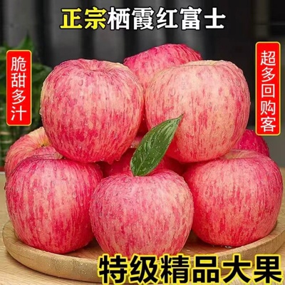 山东烟台红富士苹果时令当季整箱好果现货批发黄金农场脆甜回购