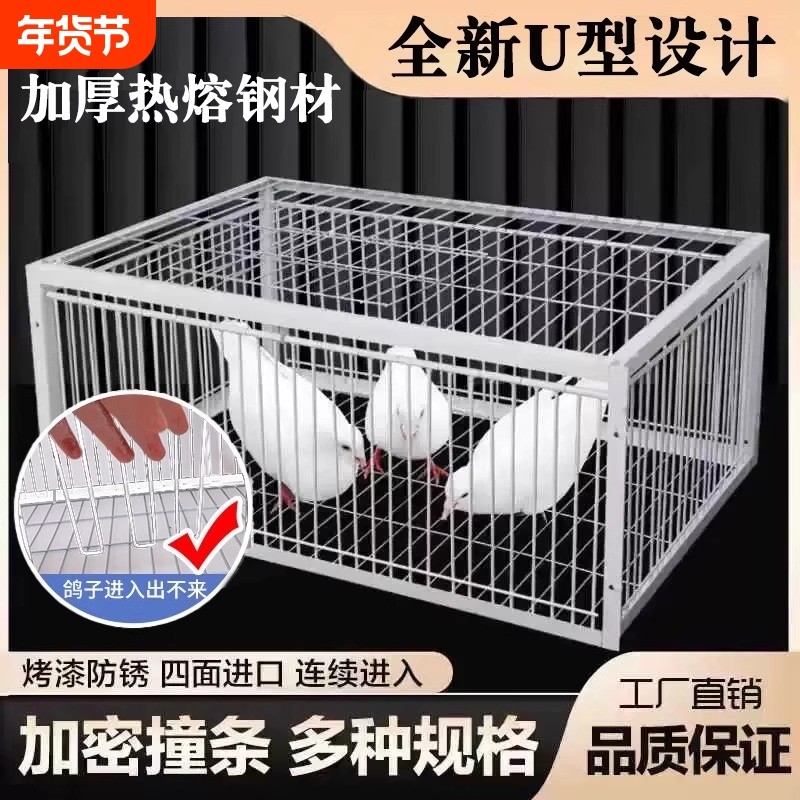 新款天落笼鸽子笼只进不出加厚加密自动收鸽子神器活络门撞门户外,宠物/宠物食品及用品,宠物鸡/鸭/鸽笼,淘宝优惠券,粉丝福利购,淘宝优惠卷