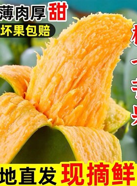 果香浓郁】广西百色桂七芒果新鲜当季水果现摘田东香芒果整箱包邮