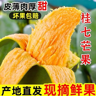 果香浓郁】广西百色桂七芒果新鲜当季水果现摘田东香芒果整箱包邮