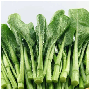 菜心新鲜免切菜心当季时令蔬菜山东直发包邮菜心