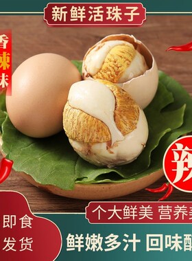 新鲜14天活珠子鸡胚蛋五香味原味熟制钢化蛋毛蛋香辣味13天