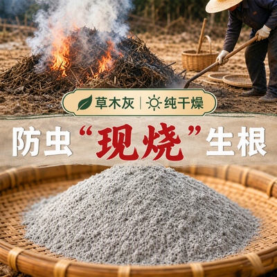 草木灰种菜专用正宗农家有机纯稻壳炭蔬菜果树养花土壤改良钾肥料