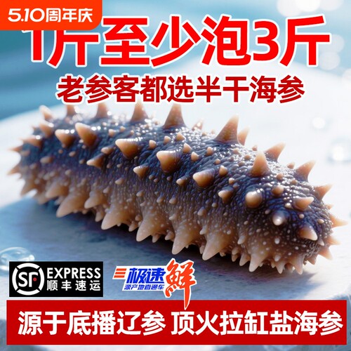 大连优质辽刺参半干海参拉缸盐海参非即食高泡发高营养