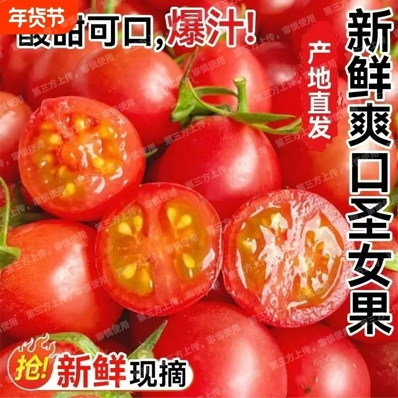 现摘现发云南新鲜圣女果小西红柿新鲜小番茄水果孕妇水果整箱包邮,水产肉类/新鲜蔬果/熟食,番茄,淘宝优惠券,粉丝福利购,淘宝优惠卷