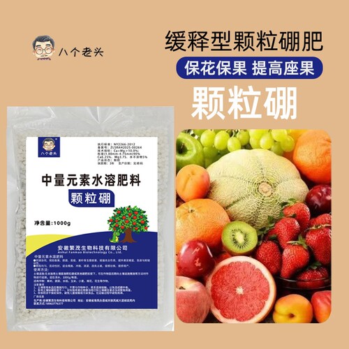 八个老头颗粒硼果类种植通用型