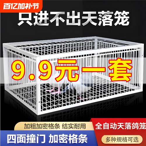 全自动室外天落笼撞门笼收集抓收鸽子加密款户外收扑只进不出