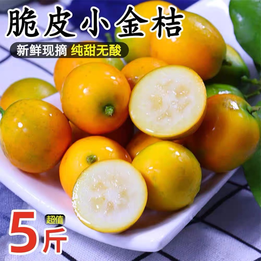 纯甜滑皮金桔当季应季新鲜孕妇水果脆甜硬皮带皮吃小金桔