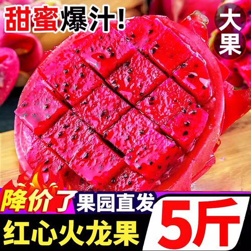 金都一号红心火龙果5斤大果整箱当季红肉新鲜水果包邮10热带农场