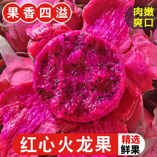 云南火龙果【活力元气精神满满满血 】