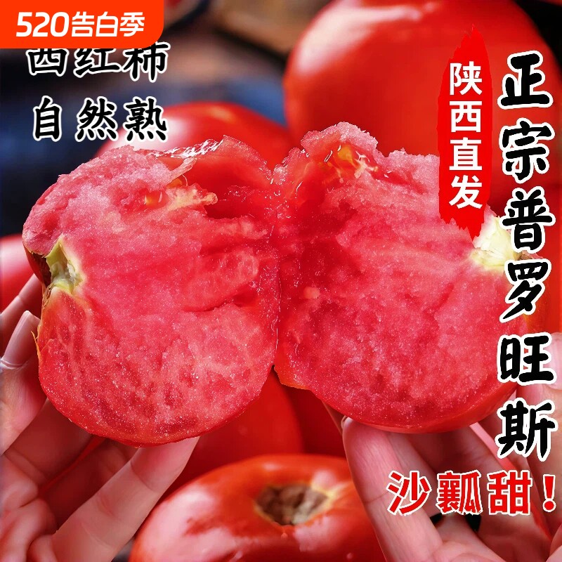 正宗陕西泾阳普罗旺斯西红柿自然熟新鲜水果当季沙瓤生吃番茄蔬菜