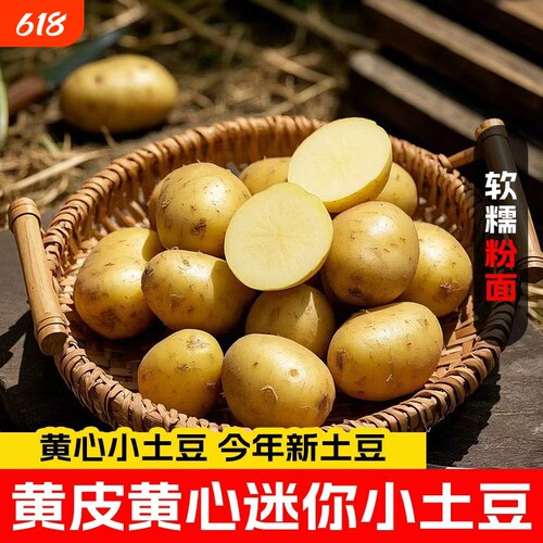 新鲜正宗富硒黄心小土豆