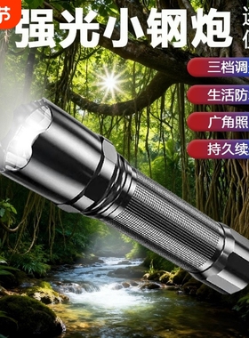 【三档调节】新款便携迷你手电筒可充电户外登山探险应急灯CZ009