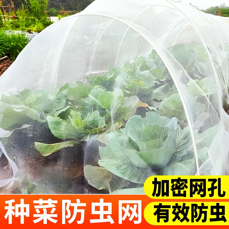 防虫网种菜专用大棚蔬菜农用纱网菜地网罩加厚加密专用网植物遮阳