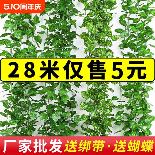 真葡萄叶藤条藤蔓植物树叶子管道吊顶装饰花藤假花塑料绿叶缠绕