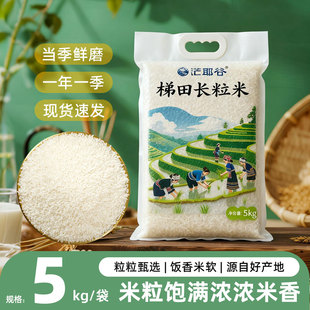 农家自产梯田长粒米10斤籼米真空包装囤粮煮饭香当季生态原稻原香