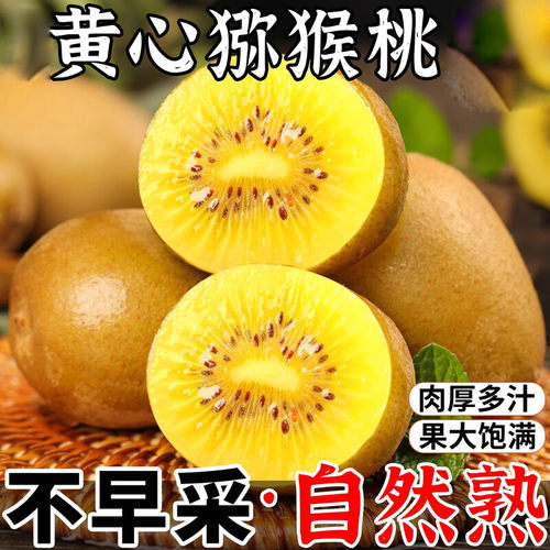 四川G3黄金奇异果黄心猕猴桃软糯大果果园直发当季鲜果整箱包邮