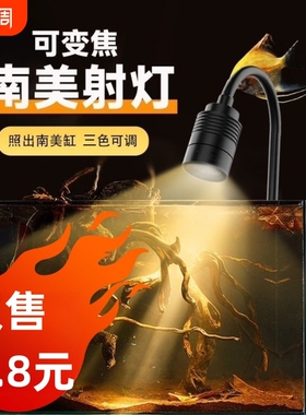 三定时迷你鱼缸射灯南美造景水草灯鱼缸灯led原生缸灯小缸变焦