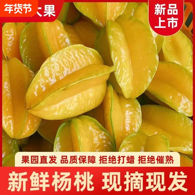 广东茂名甜杨桃5斤新鲜现摘农家洋桃当季孕妇水果五角星阳桃包邮