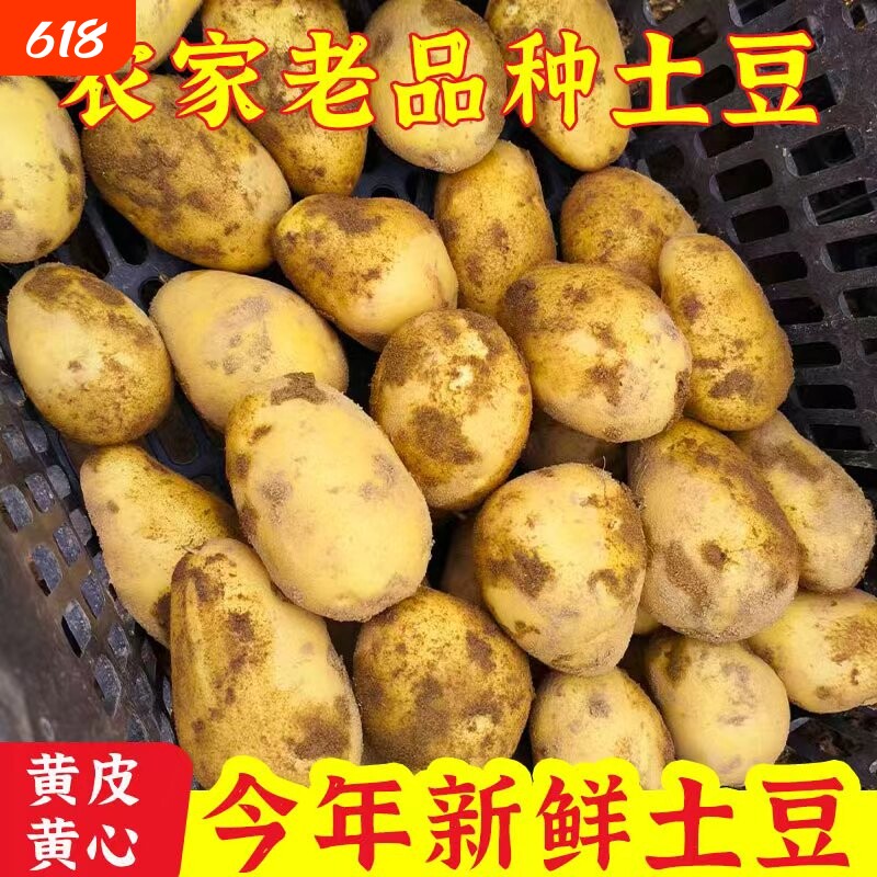 贵州特产威宁黄心米拉洋芋土豆新鲜高山老品种黄皮马铃薯十斤装