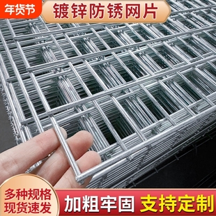 镀锌铁丝网片围栏加粗养殖网狗笼养殖钢筋网格网钢丝防护防锈鸽子