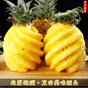 广东徐闻菠萝水果现摘当季香水菠萝新鲜凤梨湛江香脆小菠萝带箱