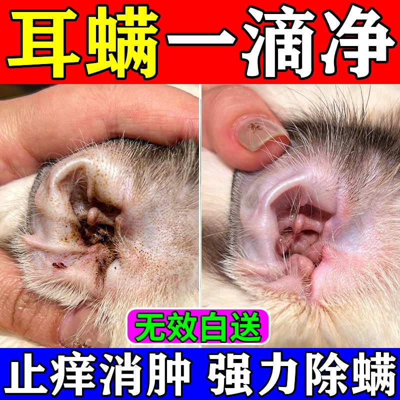 猫咪耳朵除螨滴耳液耳螨专用药宠物狗通用耳肤灵马拉色菌清洗液 X