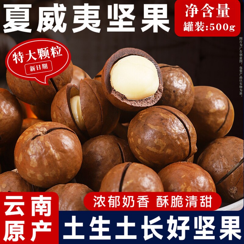 1斤夏威夷果颗粒坚果孕妇健康零食果干原味果仁罐装解馋大果优质
