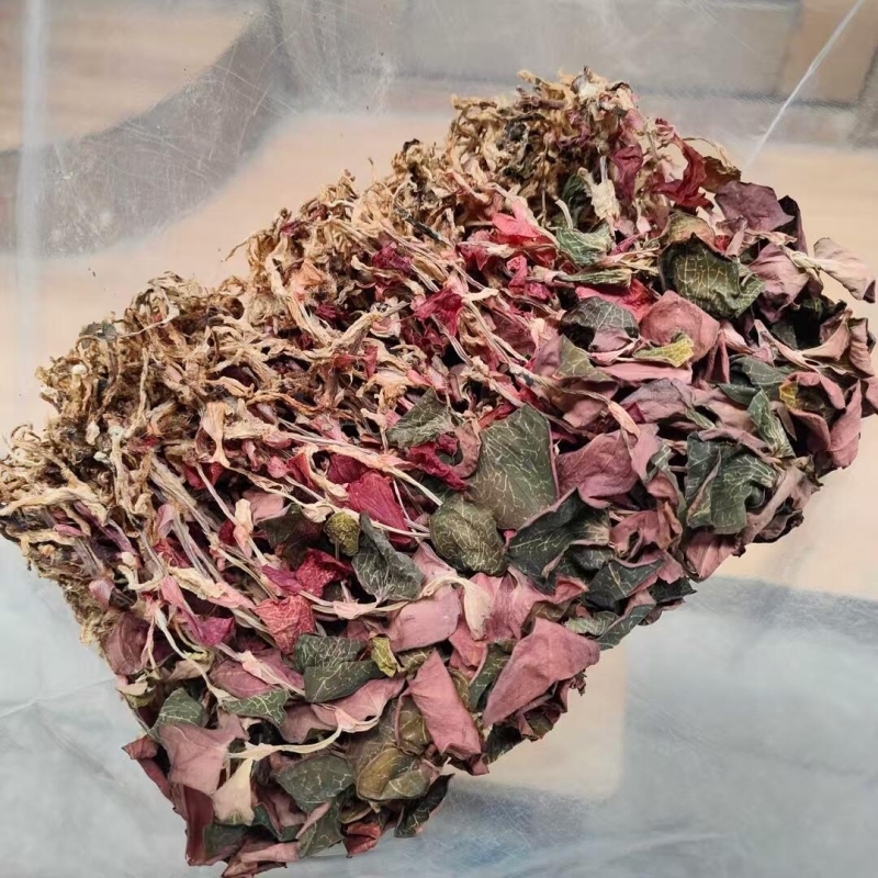 福建整株红霞金线莲50克干货泡水养生原生态林下种植